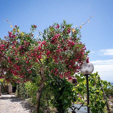 Casa Aniello Βίλα Caprioli Εξωτερικό φωτογραφία